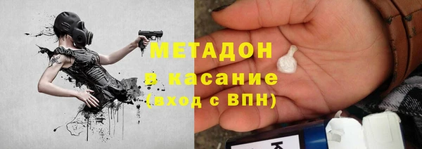 гашик Алексин
