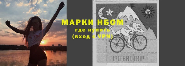 гашик Алексин