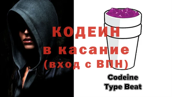 гашик Алексин