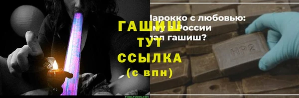гашик Алексин
