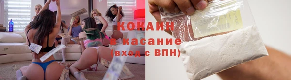 гашик Алексин