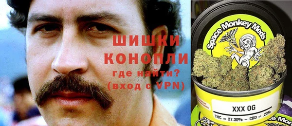 гашик Алексин