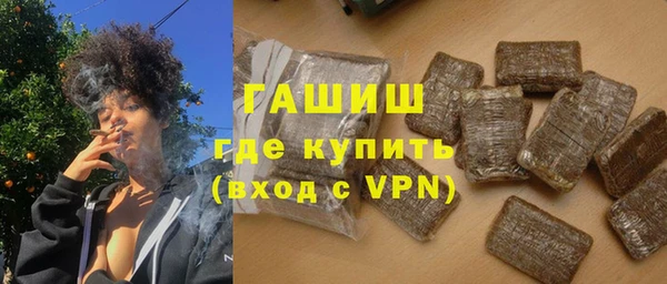 гашик Алексин